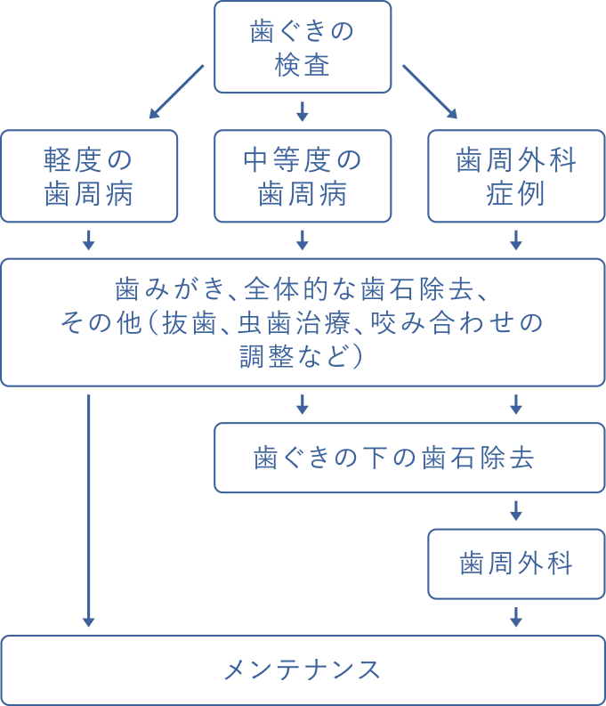 歯ぐきの検査 軽度の歯周病 中等度の歯周病 歯周外科症例 歯みがき、全体的な歯石除去、その他（抜歯、虫歯治療、咬み合わせの調整など） 歯ぐきの下の歯石除去 歯周外科 メンテナンス