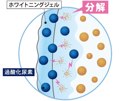 ホワイトニングによる色素の分解の図